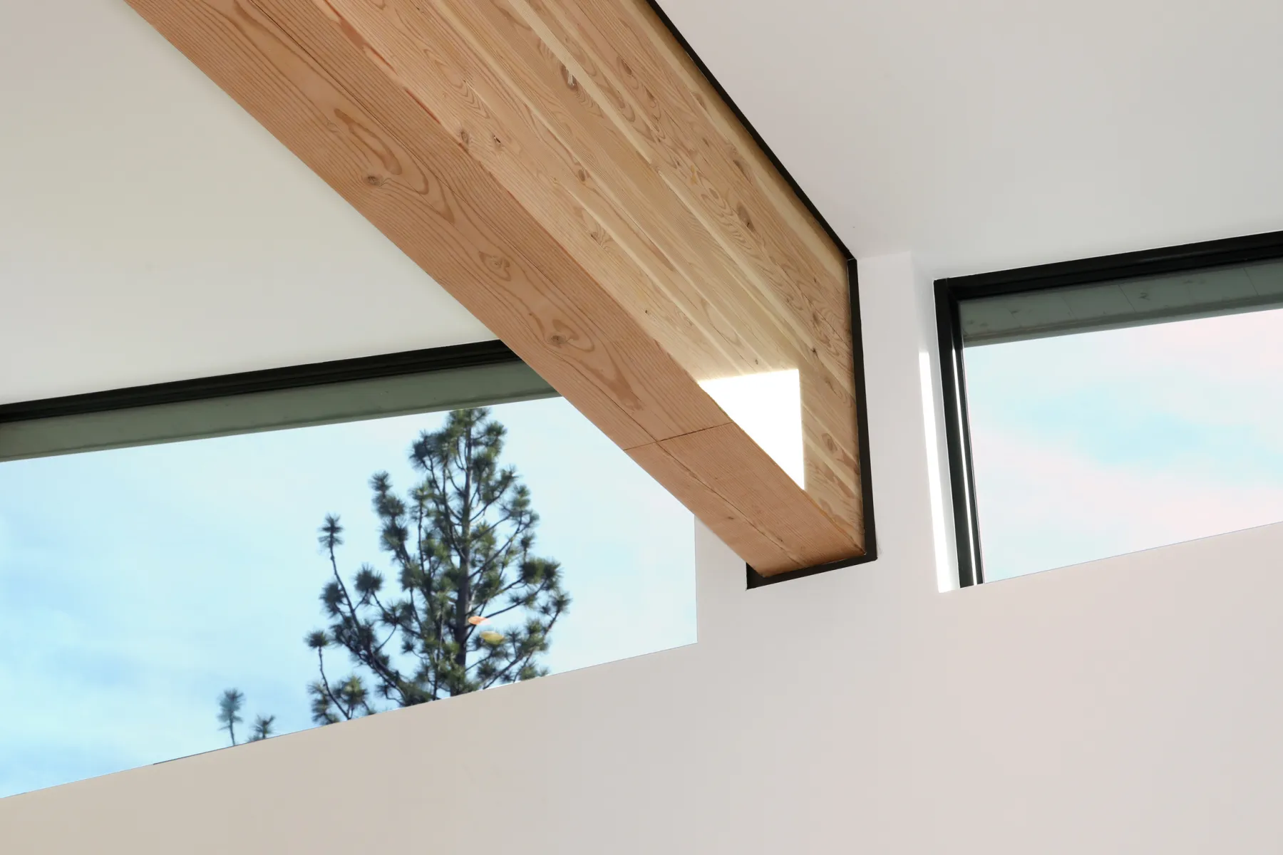Timber beam and clerestory windows framing a pine tree